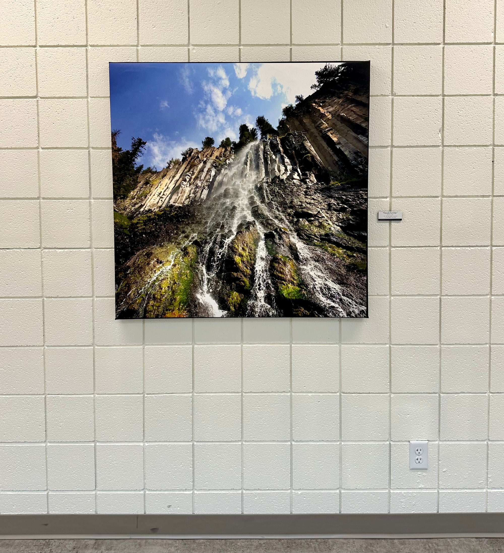 "Palisade Summer " - Large Format