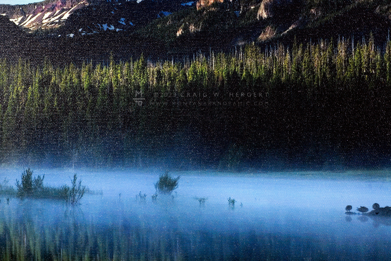 "Mallards Rest" 42.25" x 12"  limited edition #23 of 150 - rolled canvas