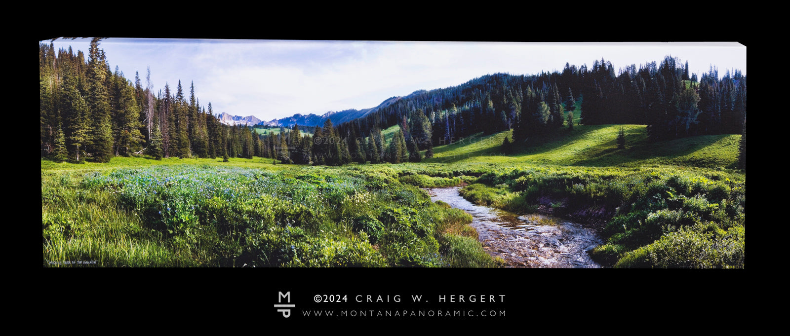 "Middle Fork of the Gallatin" - 45x15 canvas gallery wrap