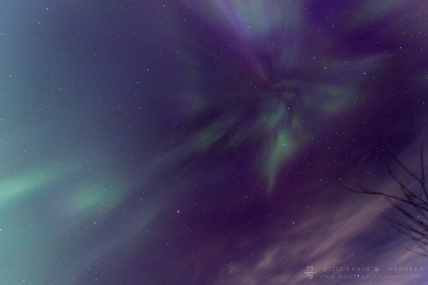 "Northern Lights Above Dry Creek" - Bozeman, MT (OE)