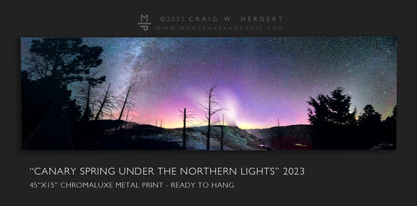 "Canary Springs under the Northern Lights" - 45x15 metal print