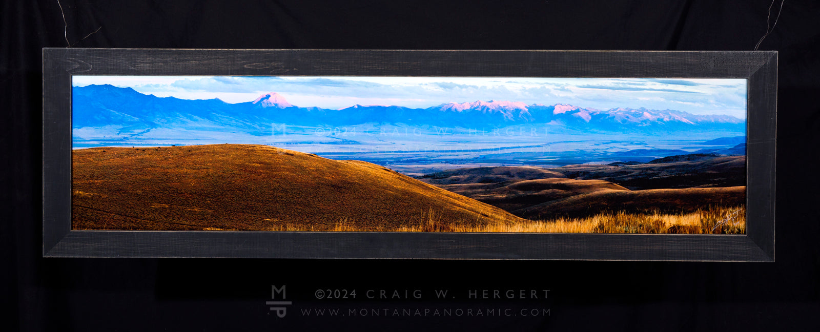 "BOYD ANGUS RANCH" - 60"x15" framed canvas