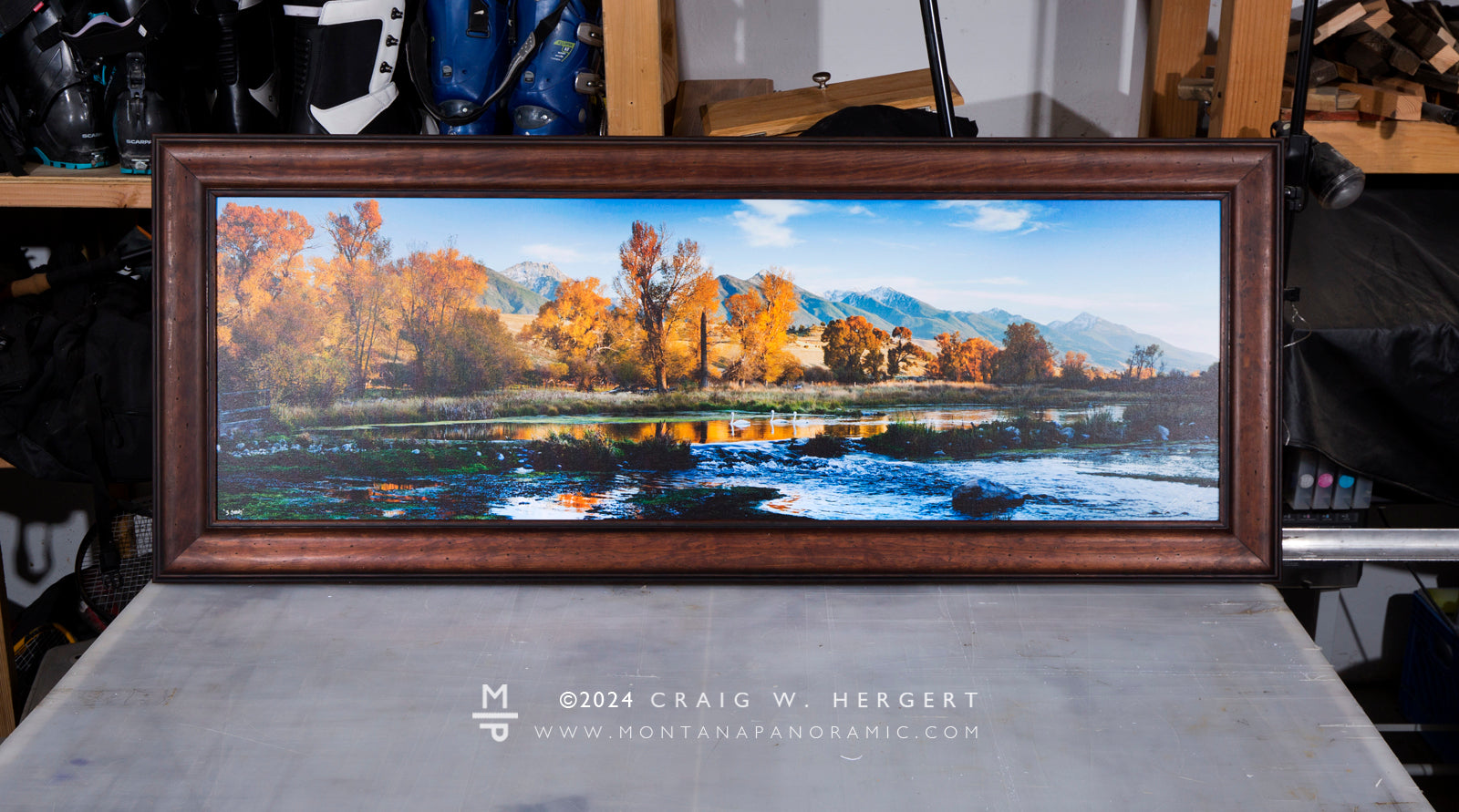 "3 Swans" -  Livingston, MT