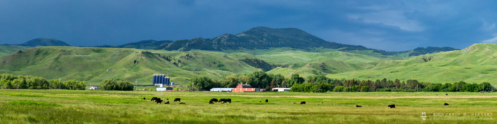 "Cowboy Creek Homestead" - Square Butte, MT (OE)