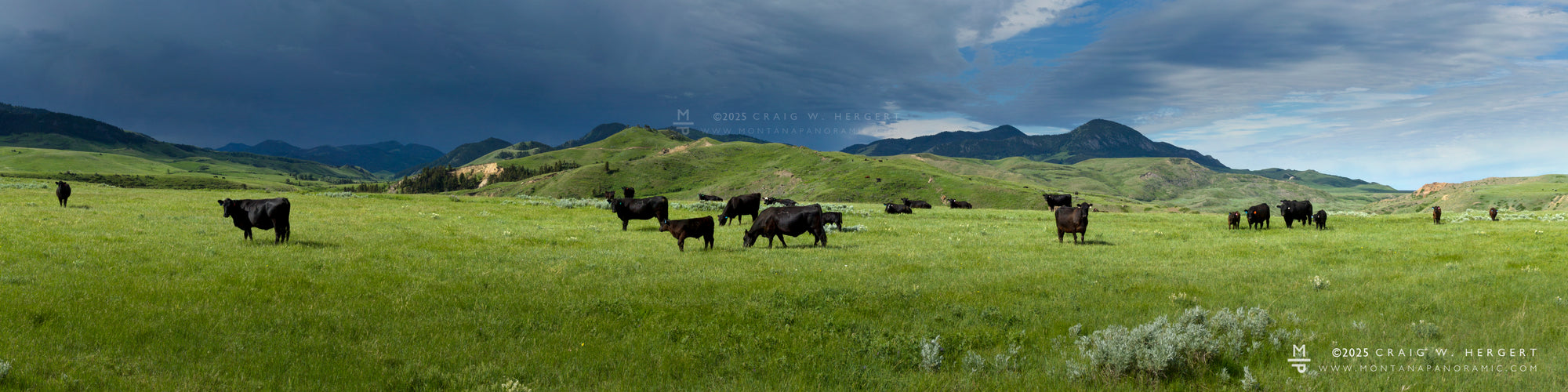 "Collection #8242" - Square Butte, MT (OE) (Copy)
