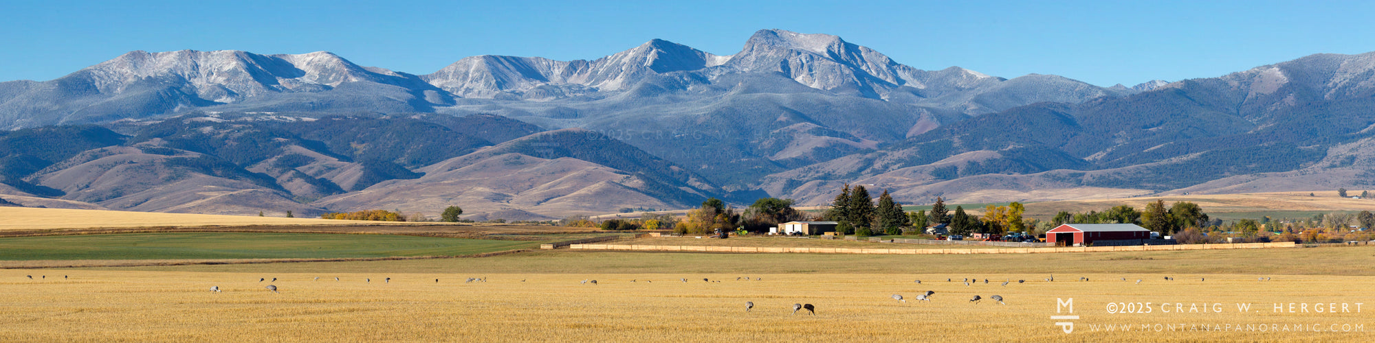 "Tobacco Sandhill Ranch" - Tobacco Root Range, MT
