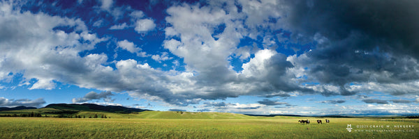 “PAINTS AND THE SKY”   MARTINSDALE, MT