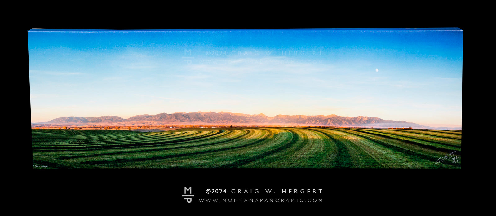 "Third Cutting" - 45" x 15"  gallery wrap framed canvas- #11 of 75