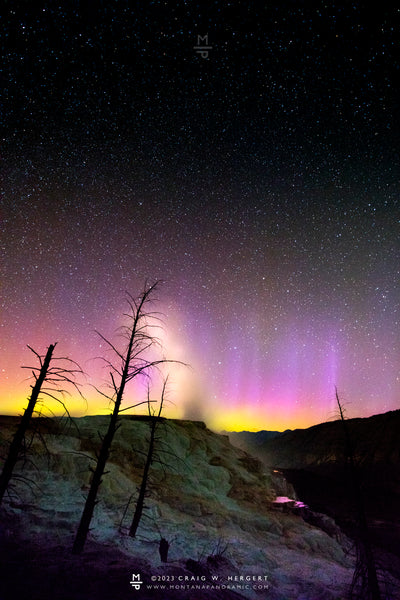 "Canary Spring under the Northern Lights" - Yellowstone N.P., MT (OE)