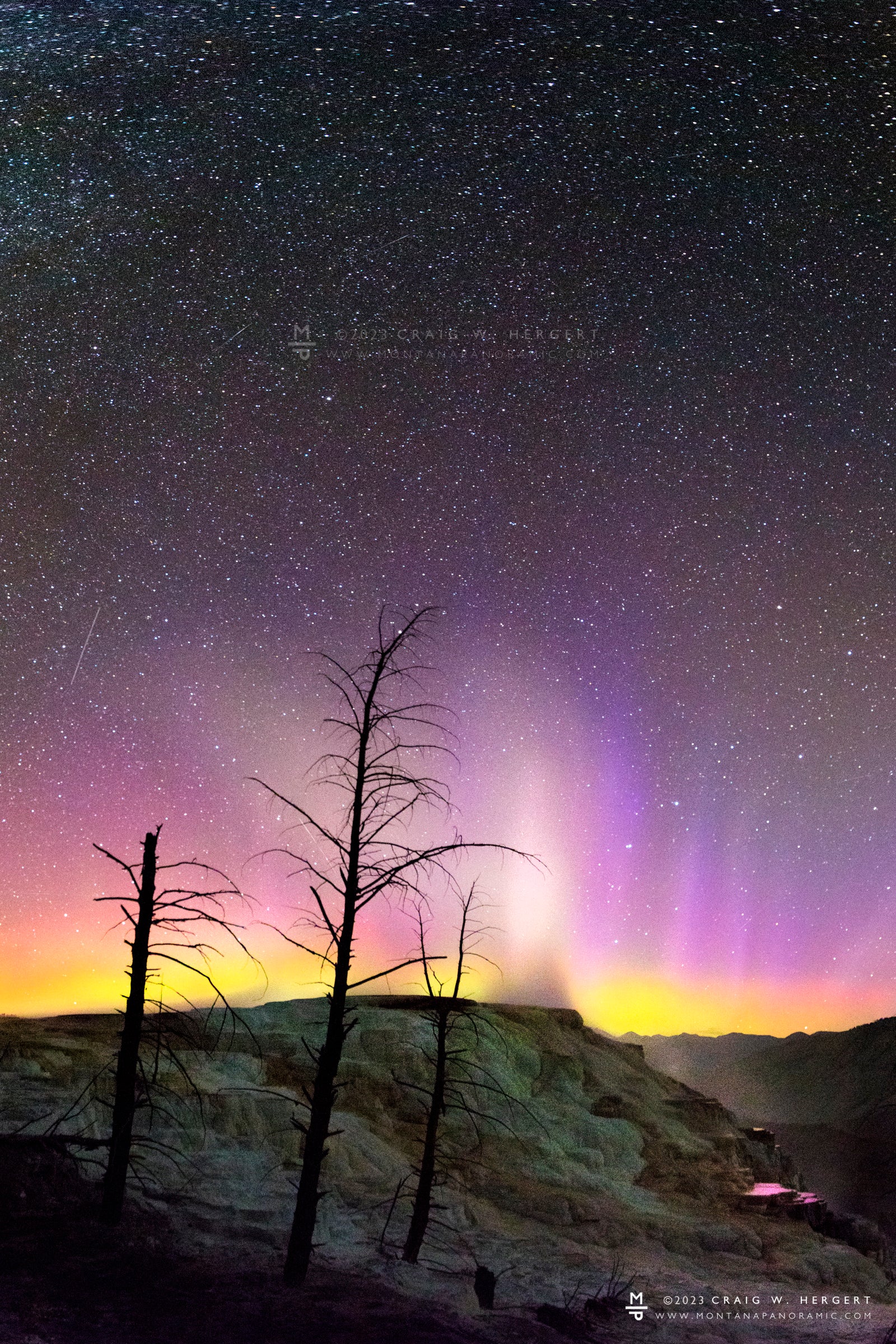 "Canary Spring under the Northern Lights" - Yellowstone National Park" (Standard Format Vertical)