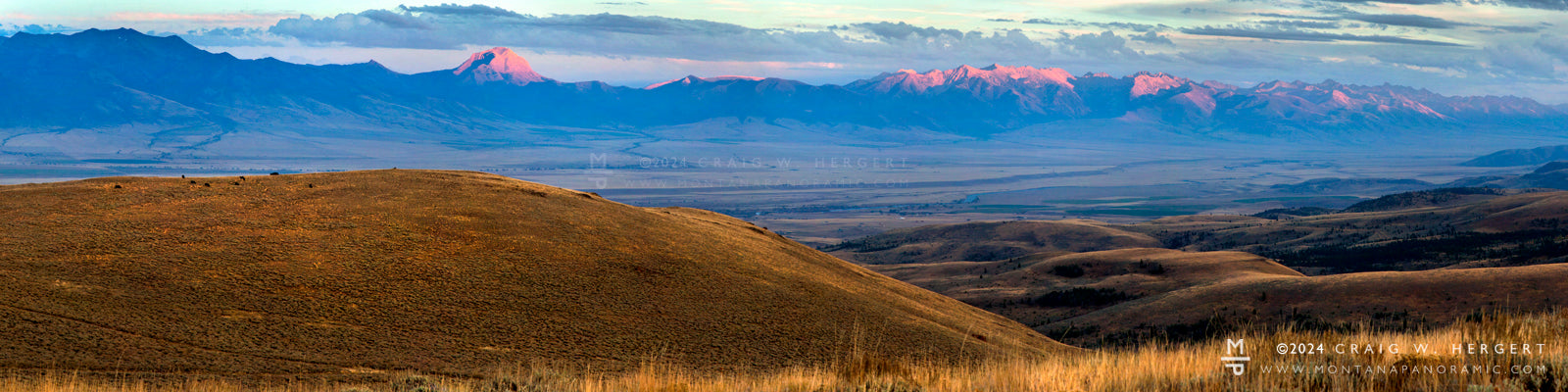 "BOYD ANGUS RANCH" - Madison Valley, MT (OE)