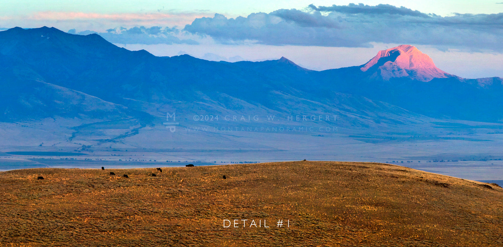 "BOYD ANGUS RANCH" - Madison Valley, MT (OE)