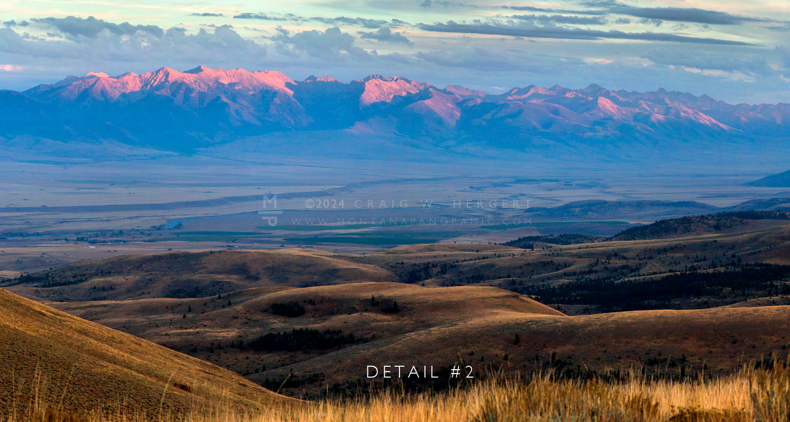 "BOYD ANGUS RANCH" - 60"x15" framed canvas