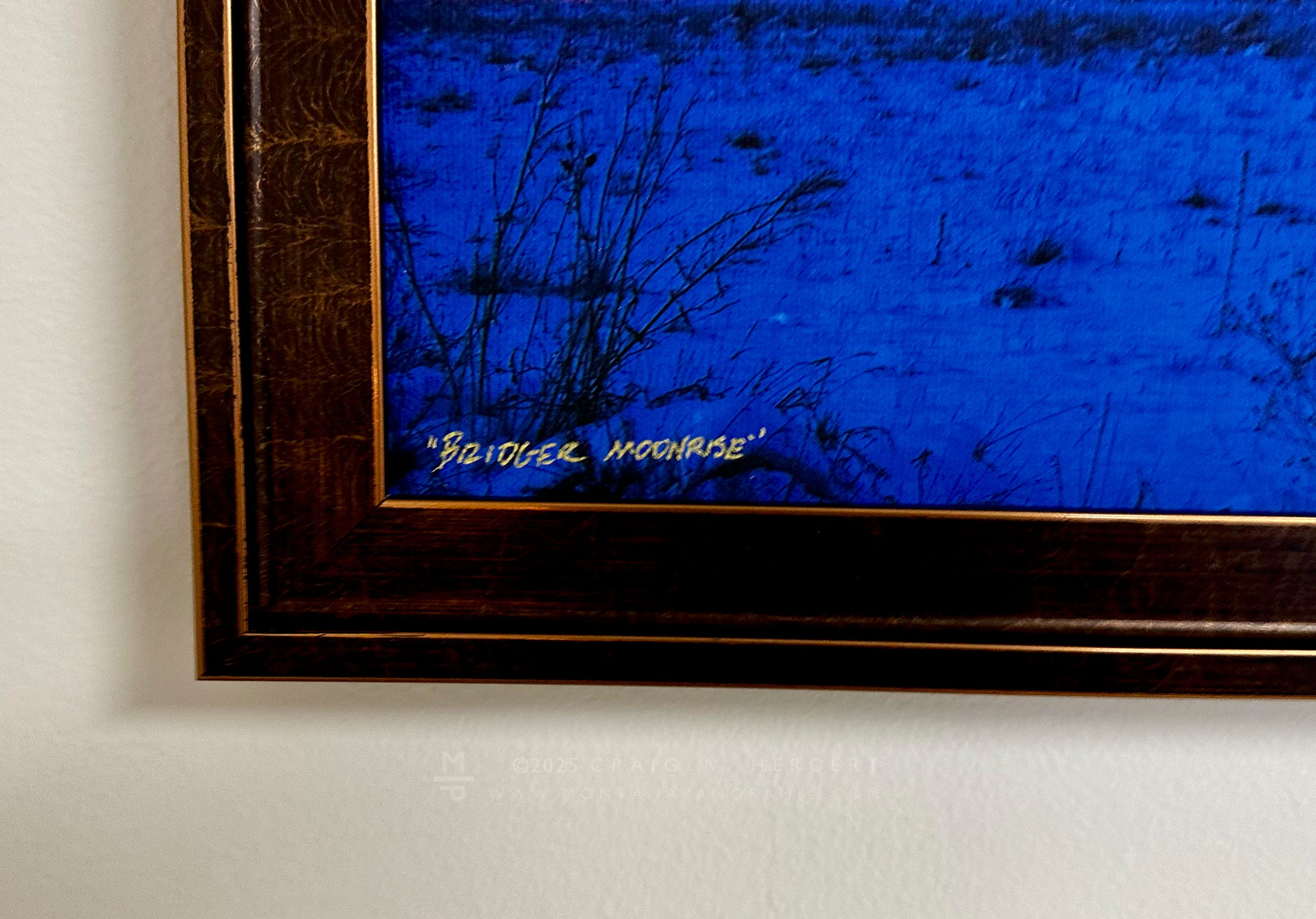 "Bridger Moonrise" - 60" x 15"  Framed