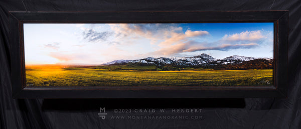 "Community" - Limited Edition of 75 on Canvas - framed 48" x 17.5" ready to hang
