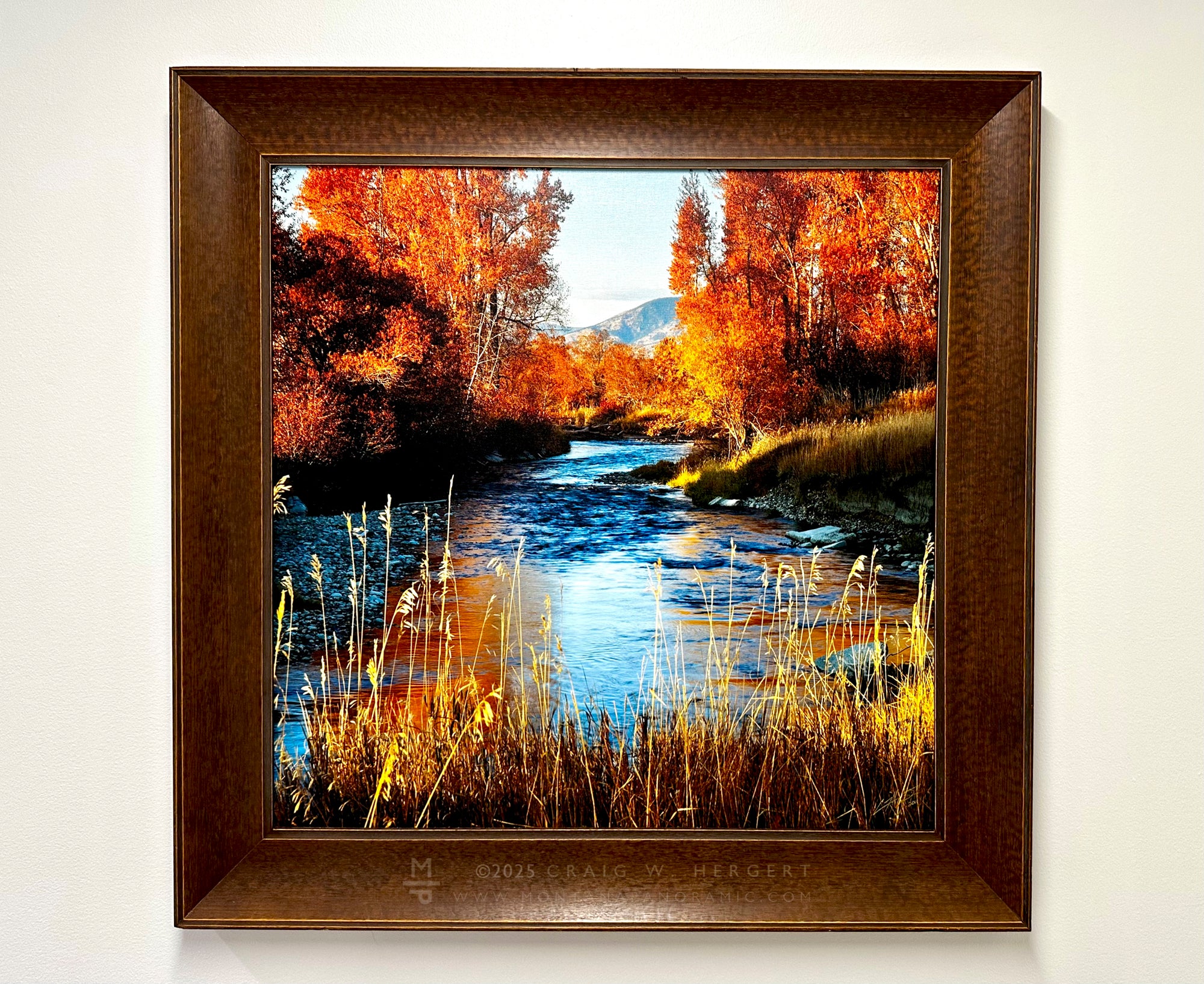 Framed photograph of a autumn landscape with trees and a river.