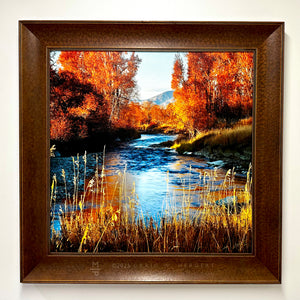 Framed photograph of a autumn landscape with trees and a river.
