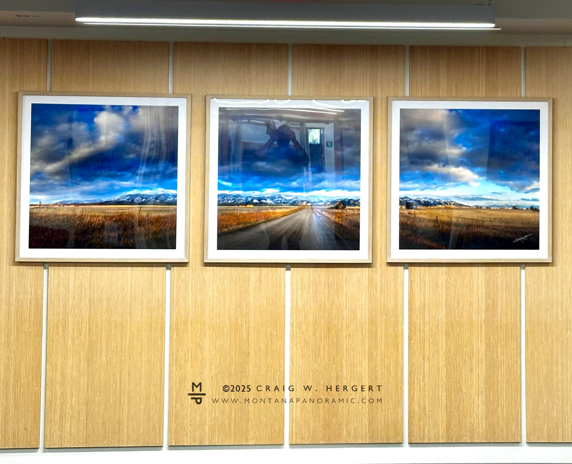 "The Fall Line" - 90" x 30" Custom Framed Triptych open edition paper print - framed