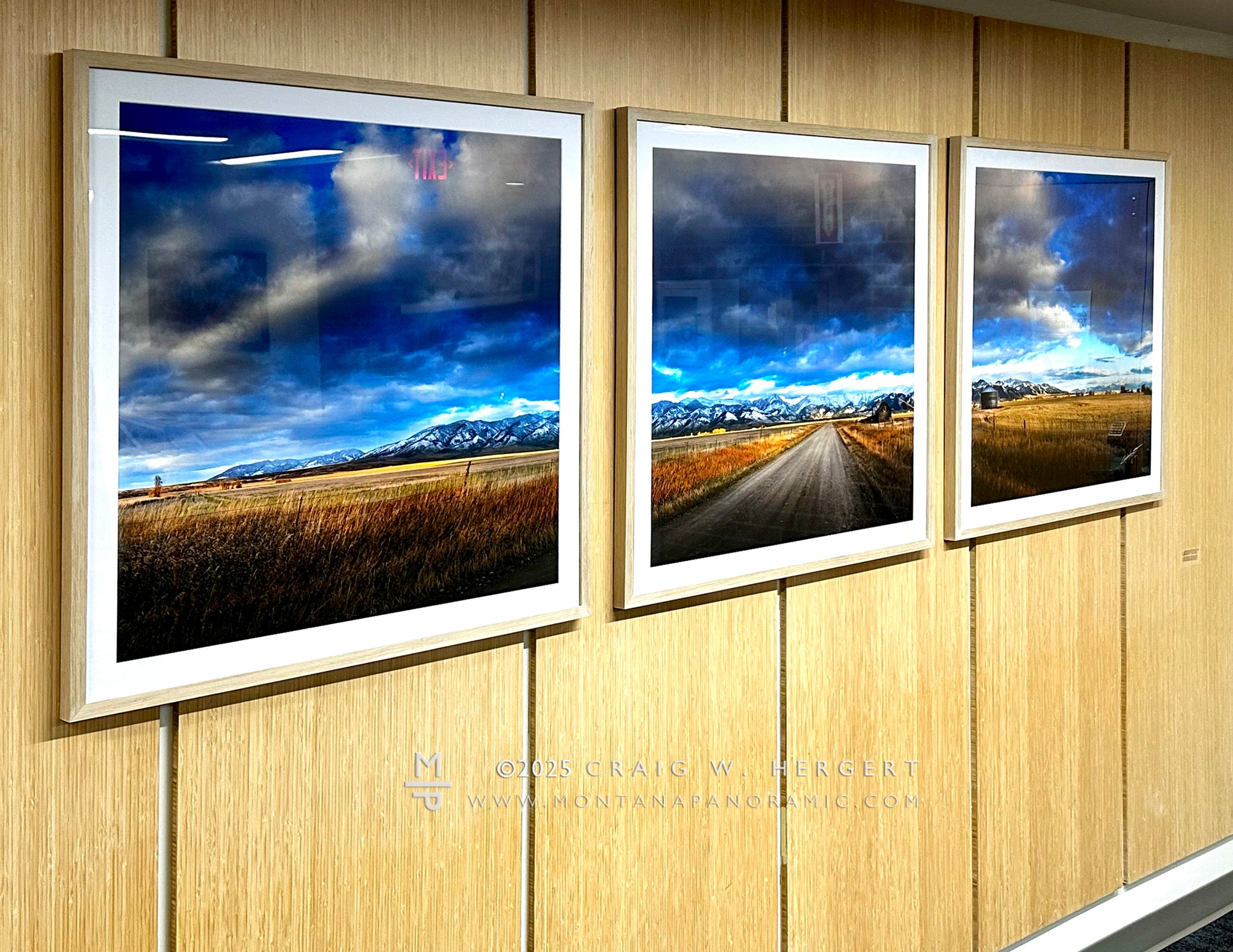 "The Fall Line" - 90" x 30" Custom Framed Triptych open edition paper print - framed