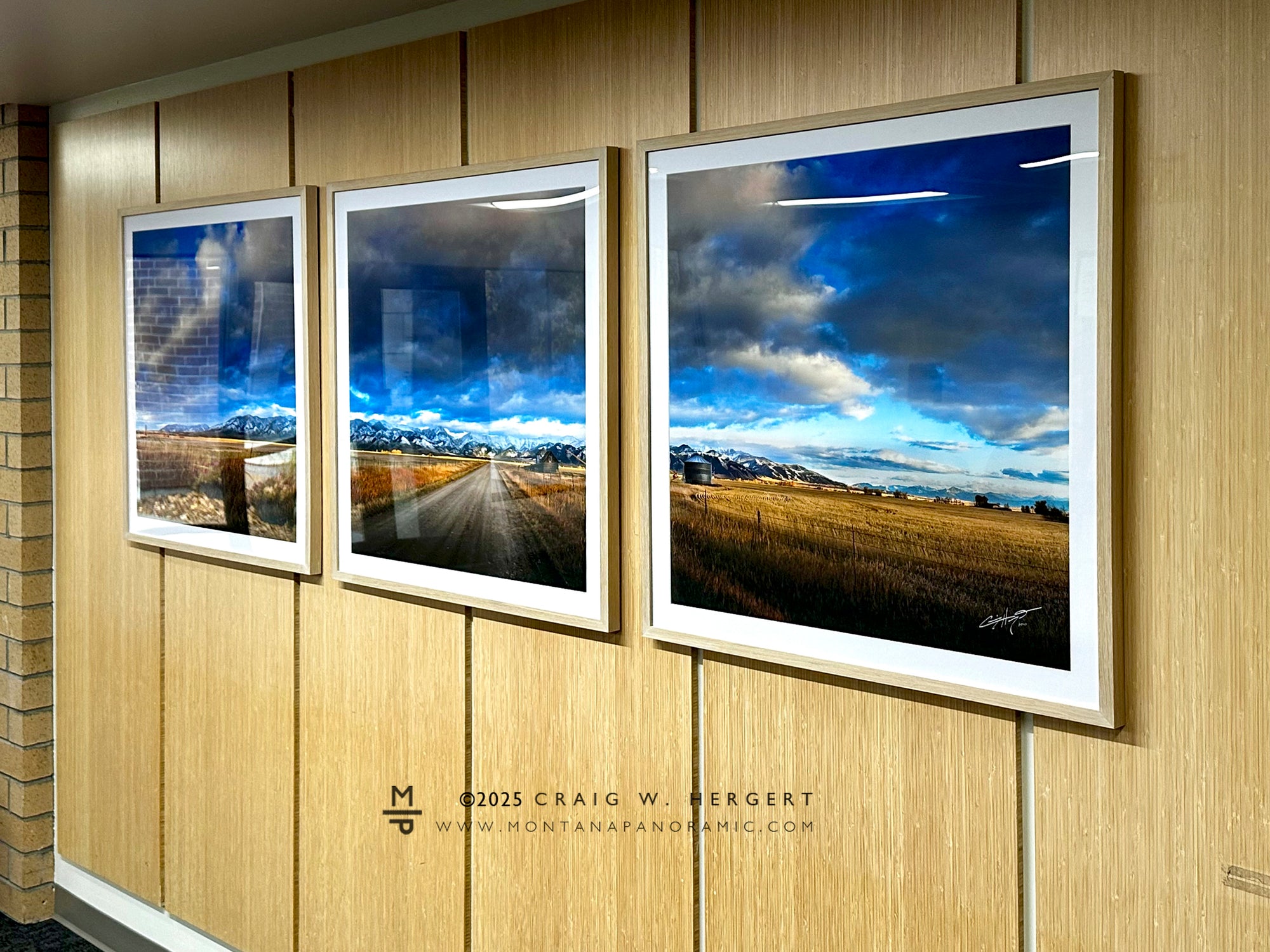 "The Fall Line" - 90" x 30" Custom Framed Triptych open edition paper print - framed