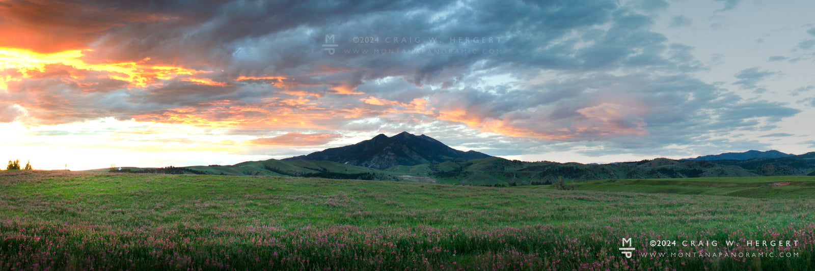 "Fort Ellis Bloom #2" - Bridger Range, Bozeman-MT