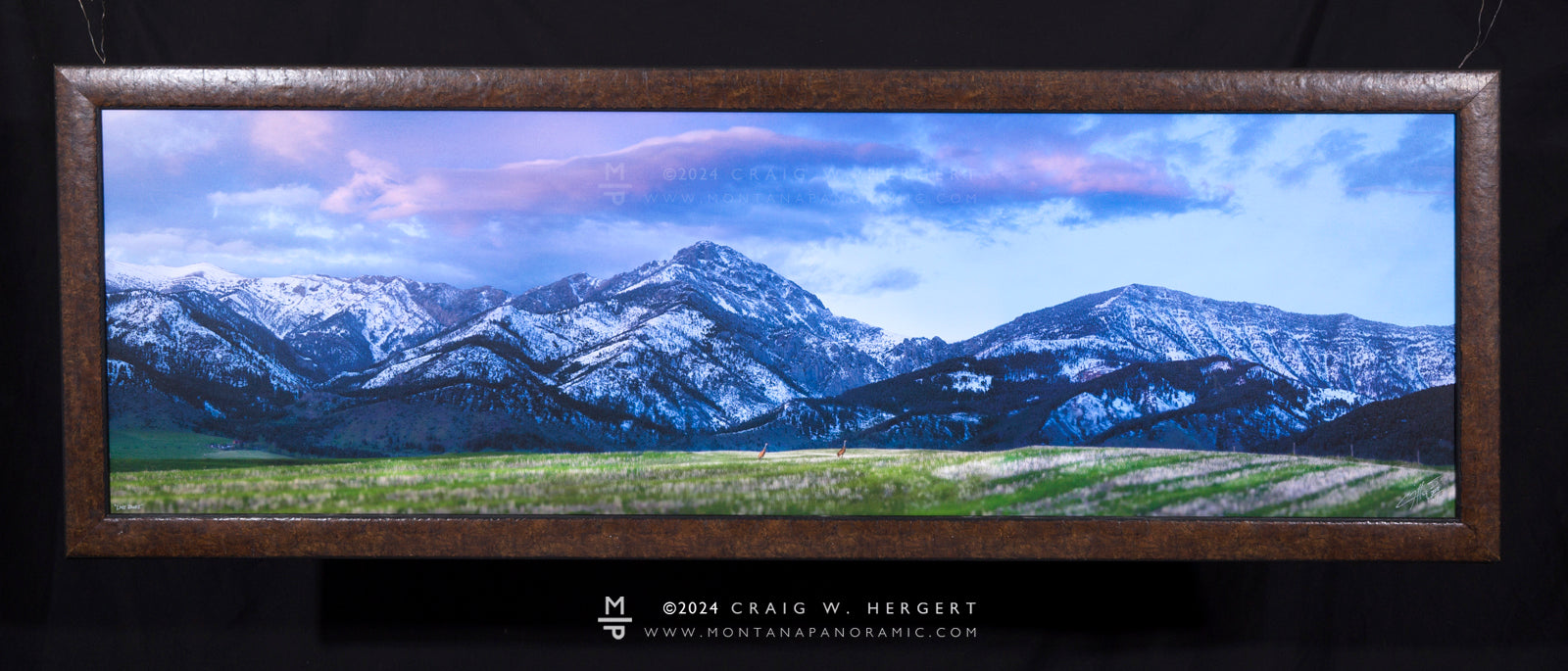 "Line Dance" -60"x18" Limited Edition of 75 - custom framed