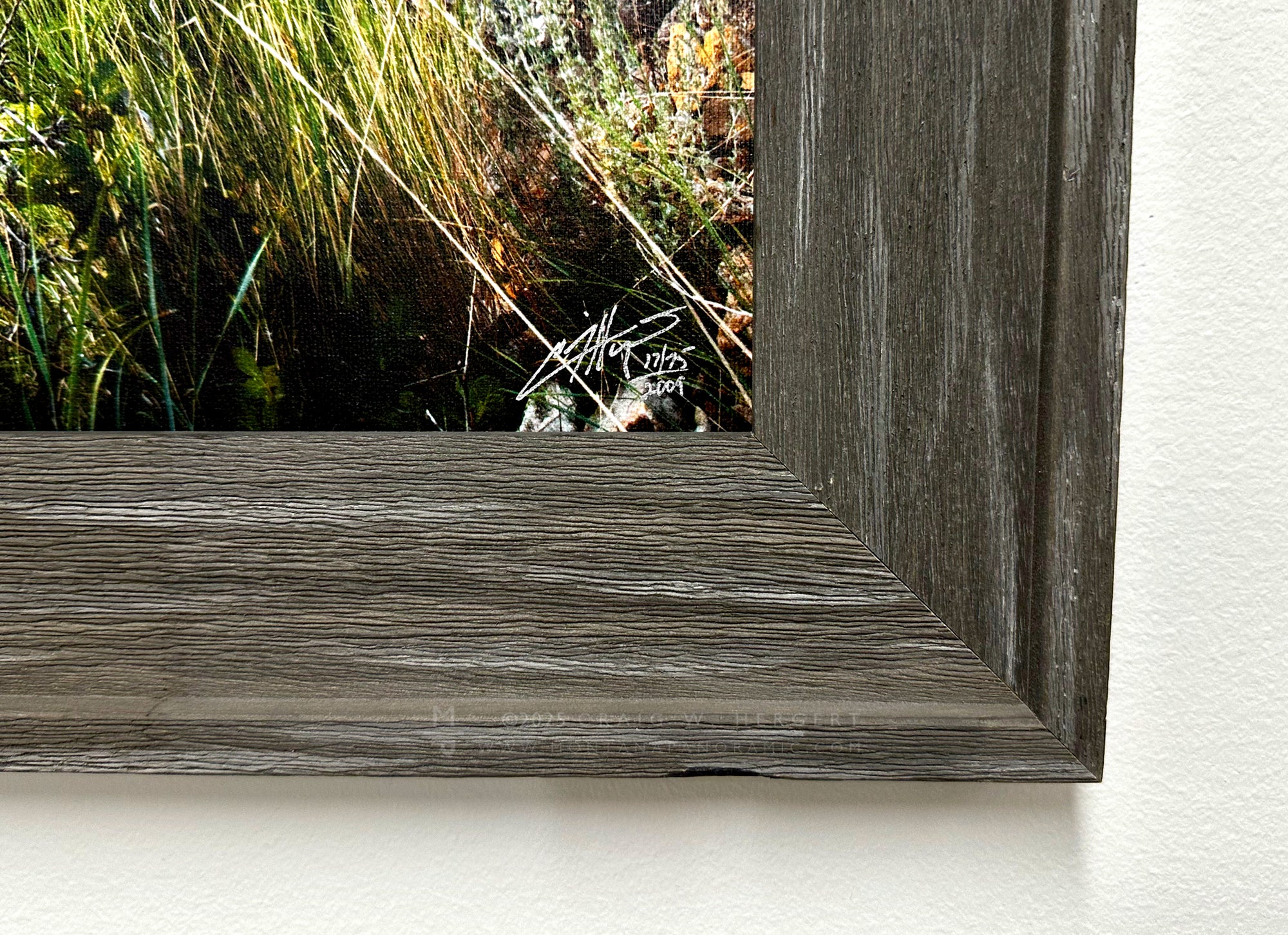 "Paradise Eve" - Limited Edition framed print on Canvas--30" x 10"