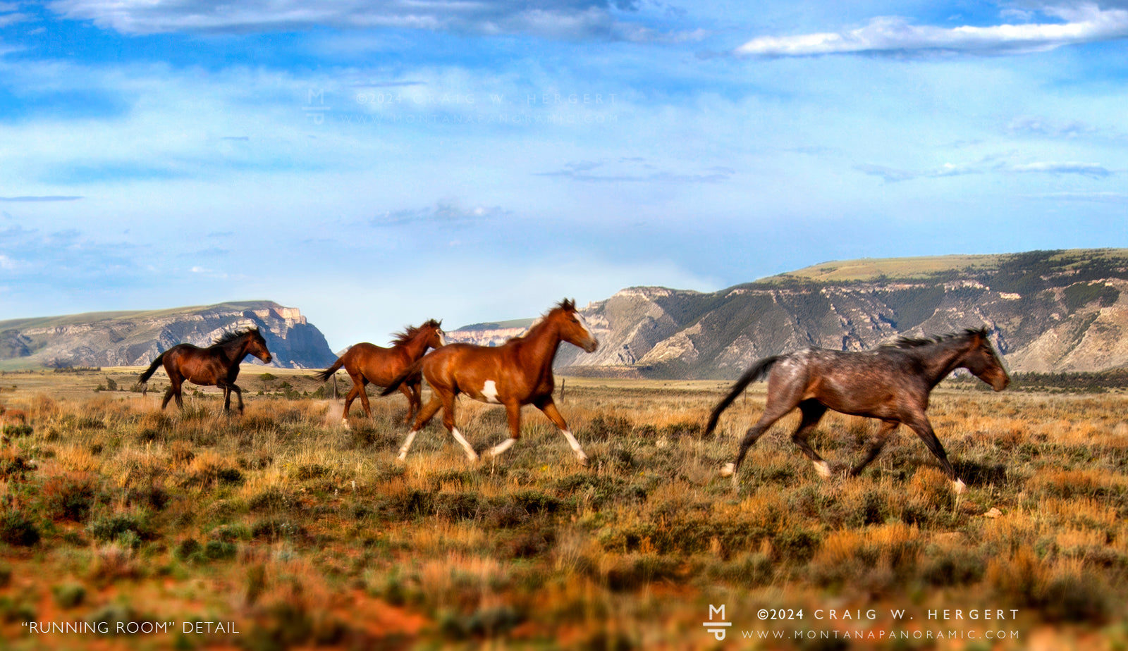 "Running Room" - Pryor, MT