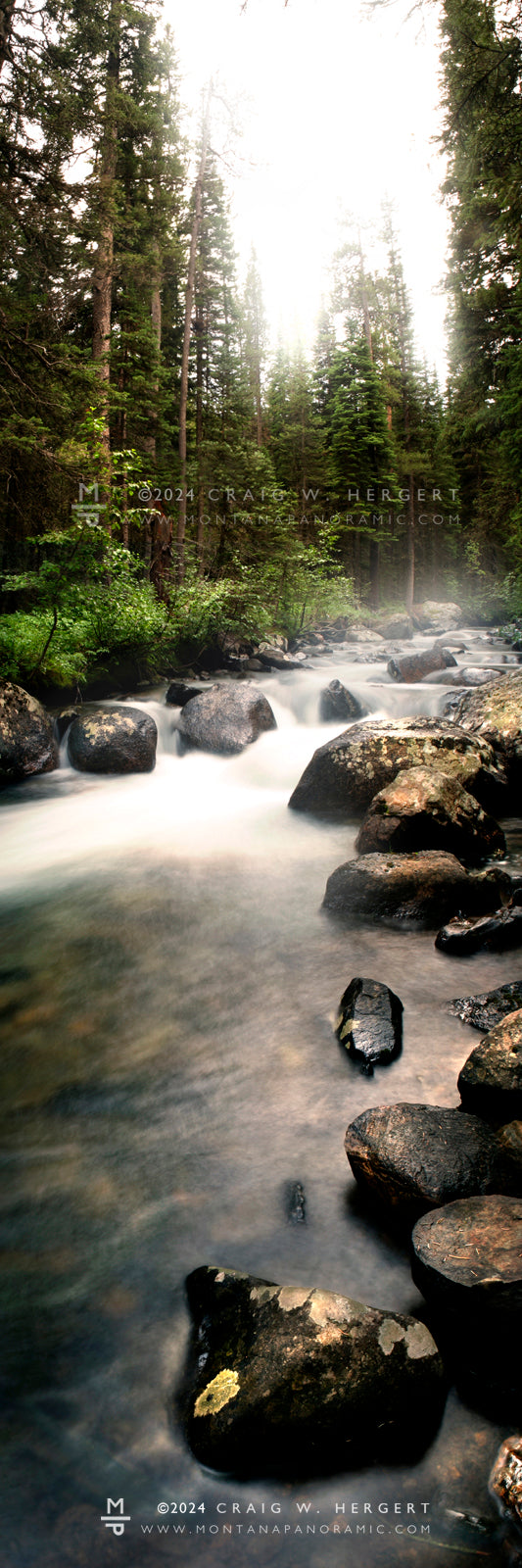 "South Boulder Fish Story" - S. Boulder River, MT