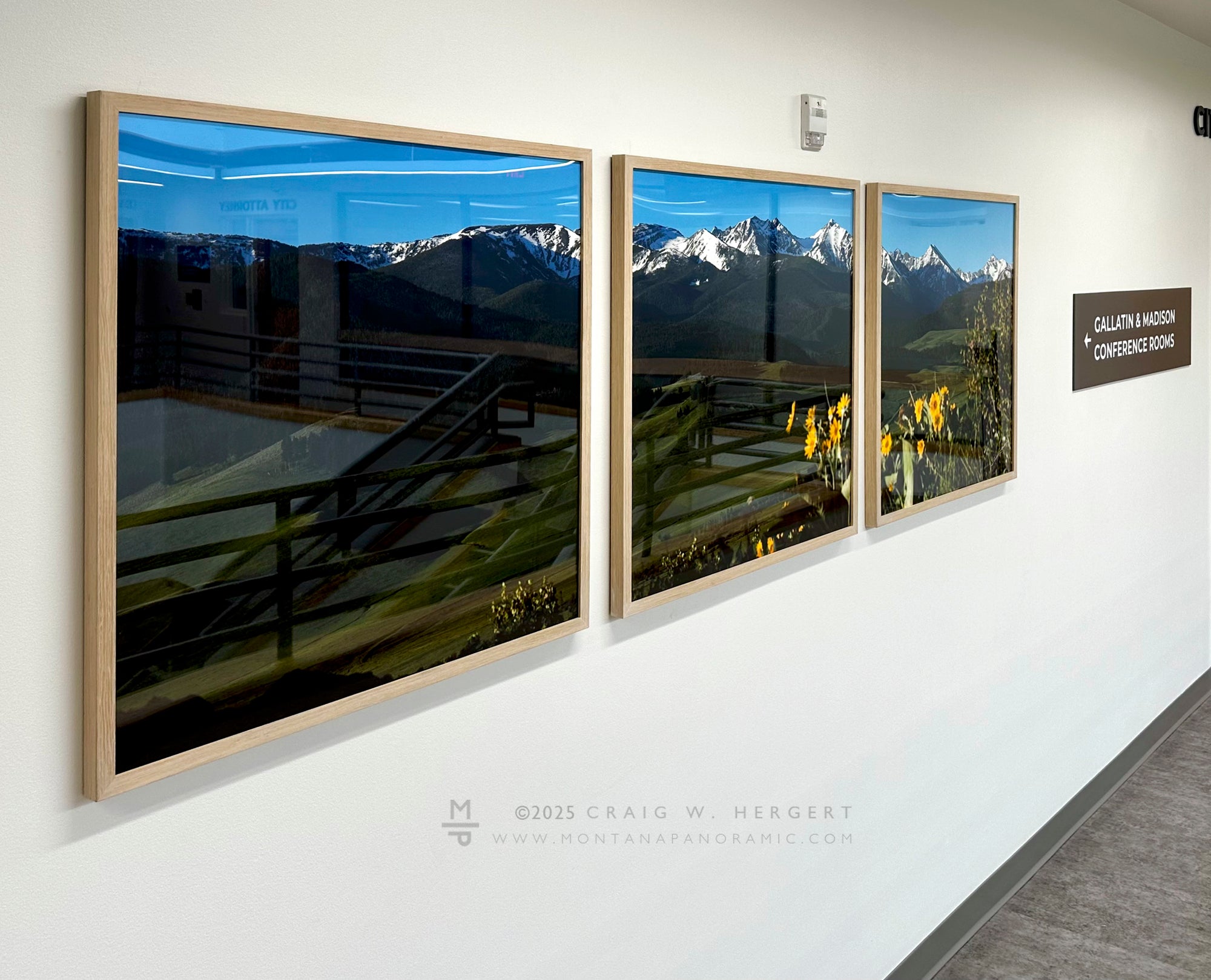 "Spanish Balsamroot" - 90" x 30" Custom Framed Triptych open edition paper print - framed (Copy)