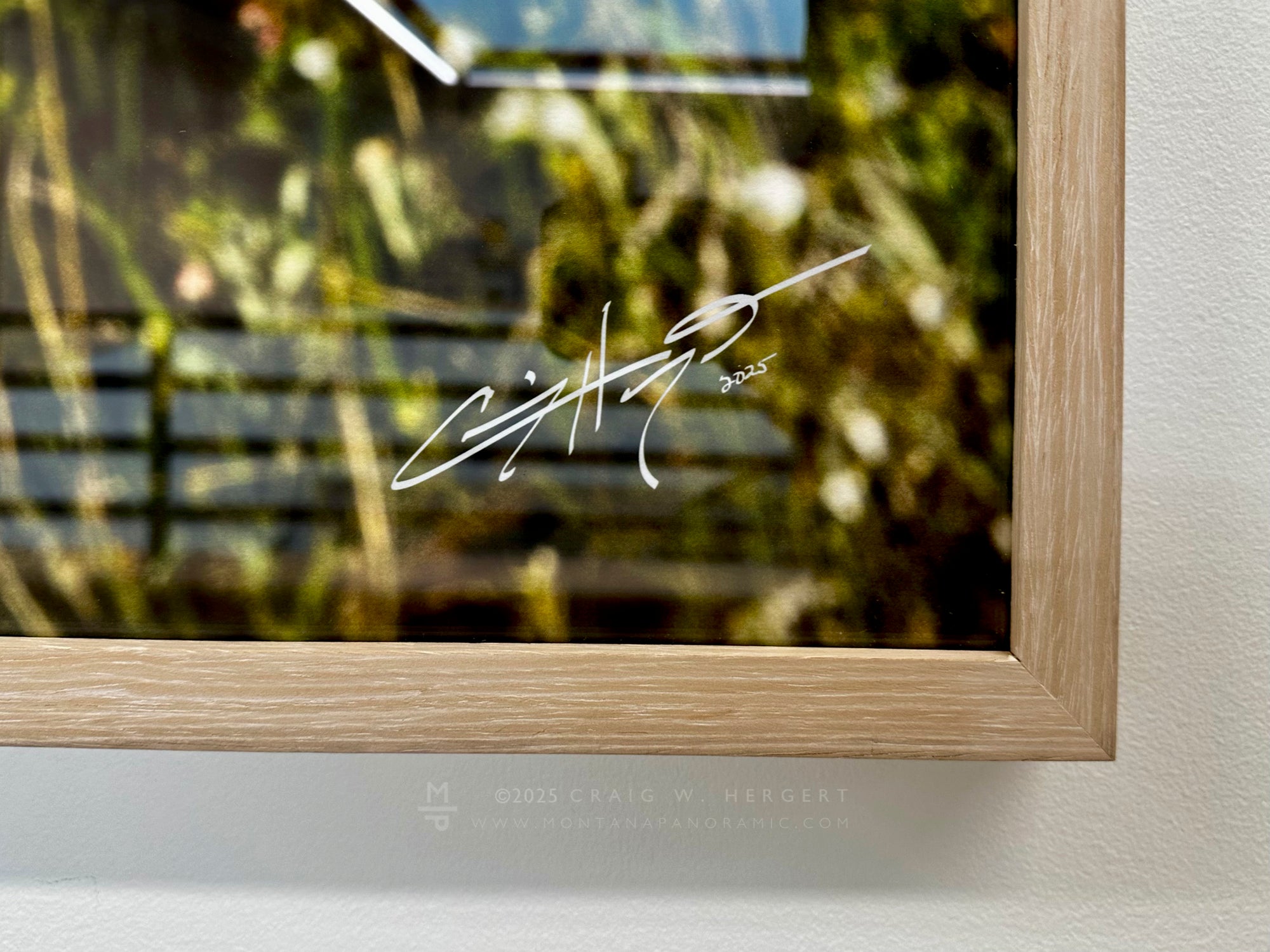 "Spanish Balsamroot" - 90" x 30" Custom Framed Triptych open edition paper print - framed (Copy)