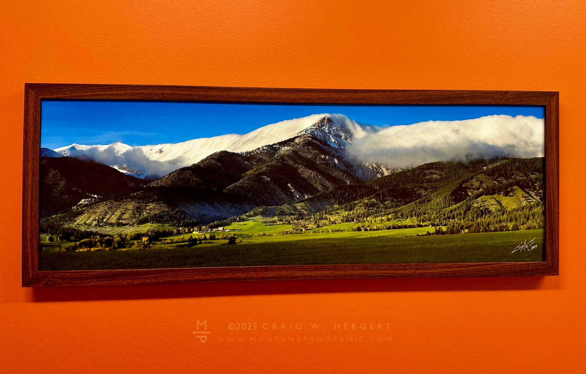 "Spring at the Pavilion" - 30x10 canvas with walnut frame