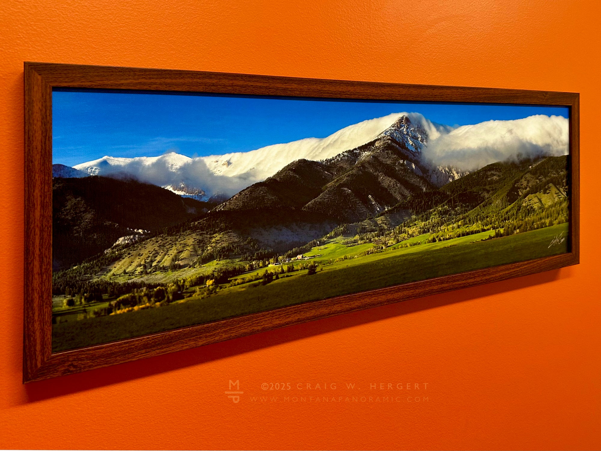 "Spring at the Pavilion" - 30x10 canvas with walnut frame