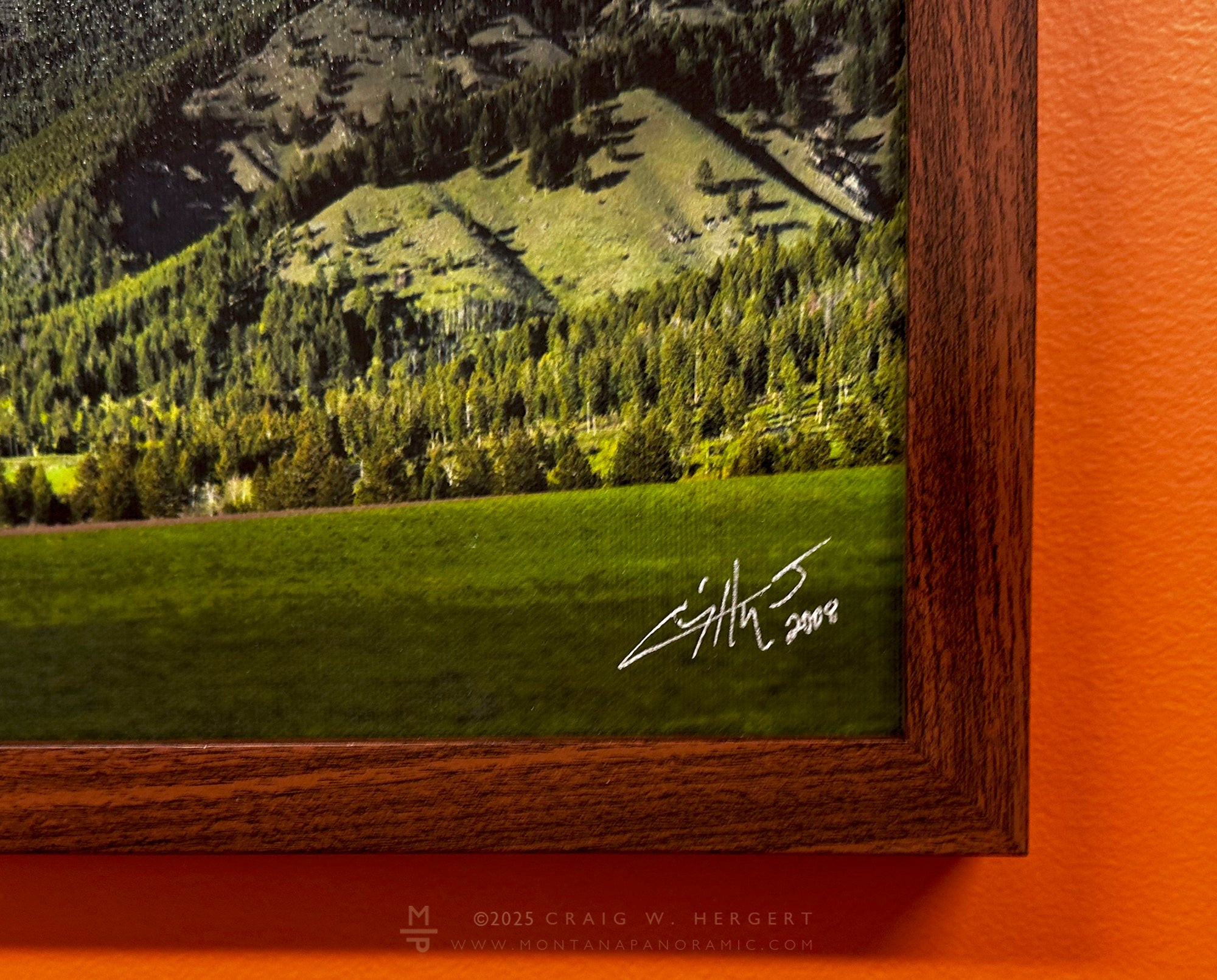 "Spring at the Pavilion" - 30x10 canvas with walnut frame