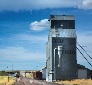"Front Street Feeds" - Sunburst, MT