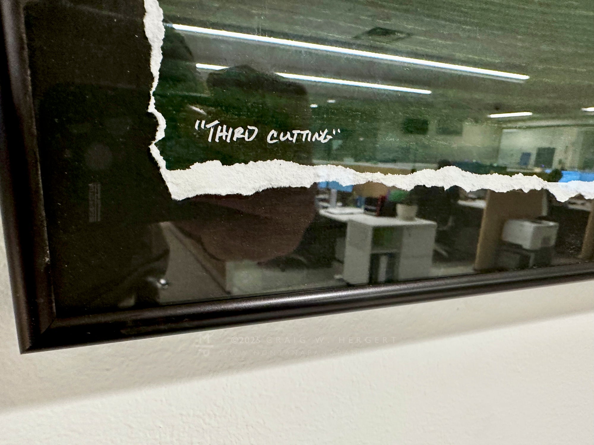 "Third Cutting" - 45" x 15"  custom framed paper print- #12 of 75