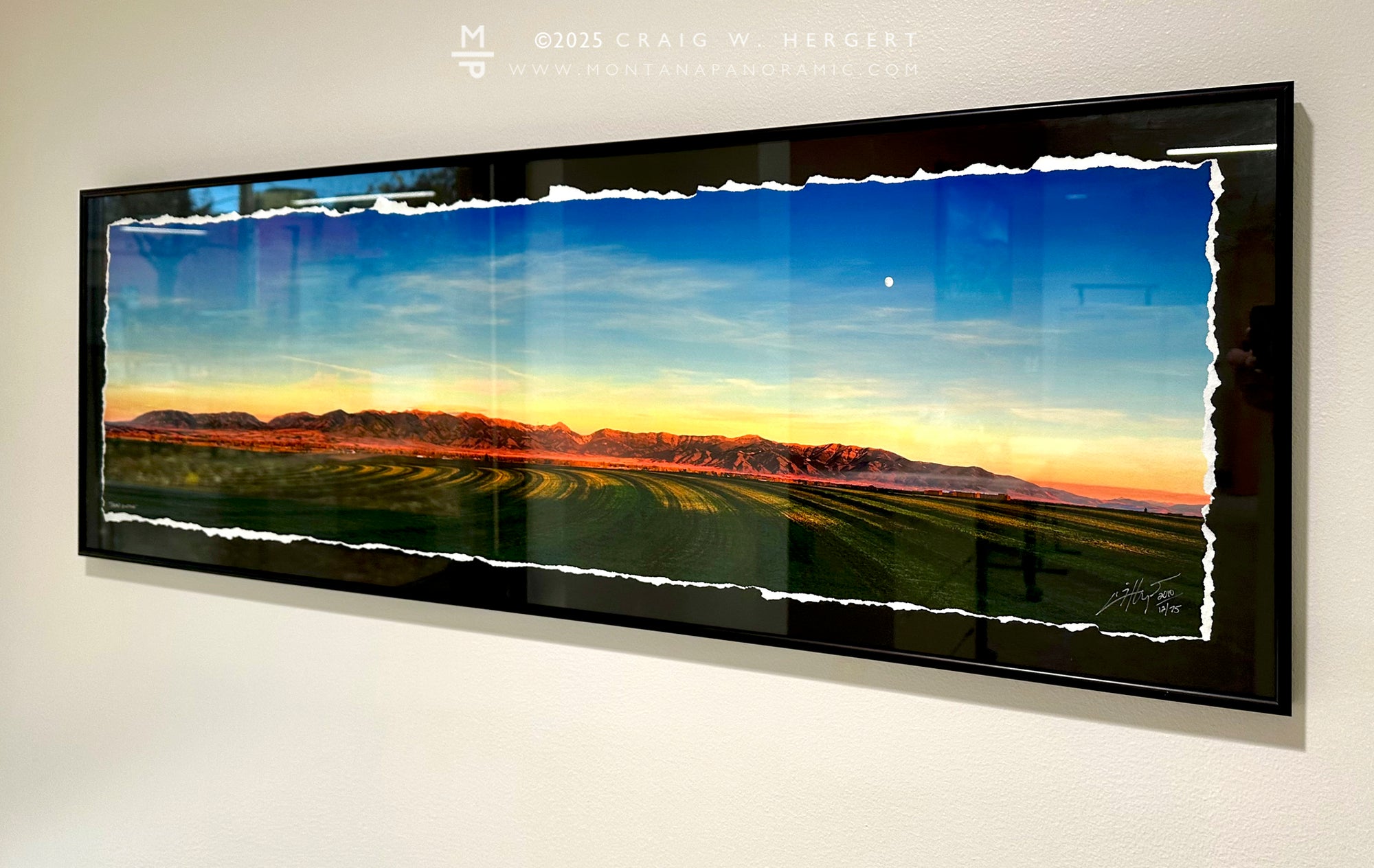 "Third Cutting" - 45" x 15"  custom framed paper print- #12 of 75