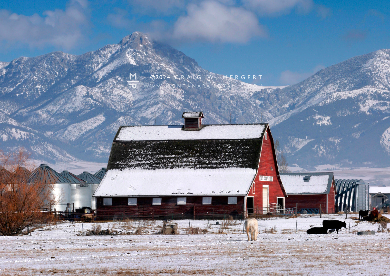 "Trout Creek Farm 2005" - Springhill, MT