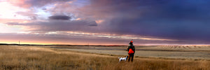 "A Good Day" - Circle, MT