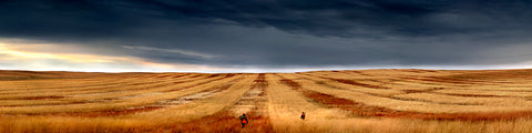 "CRP" - Richey, MT