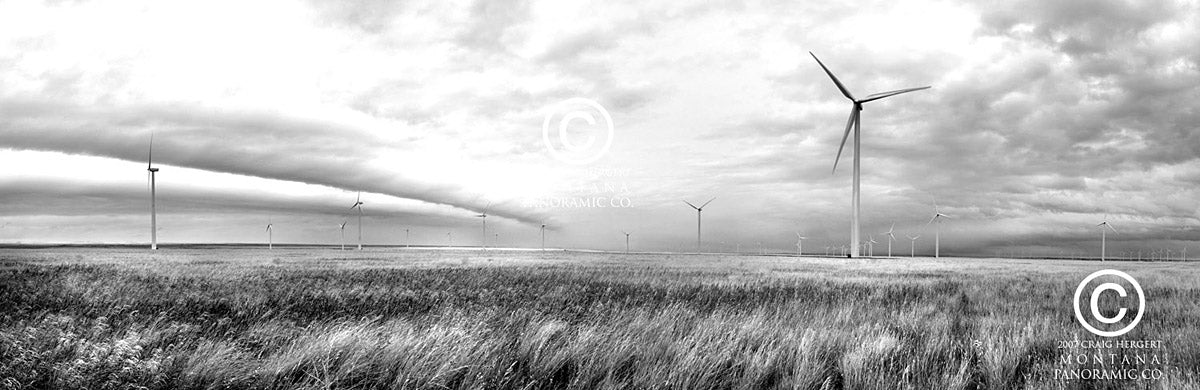 "Breeze" - Judith Gap, MT
