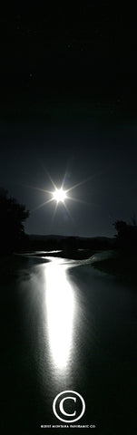 "Moonfish" - Gallatin River, MT