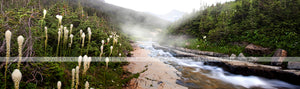 "Siyeh Creek Mist" - Glacier N.P., MT