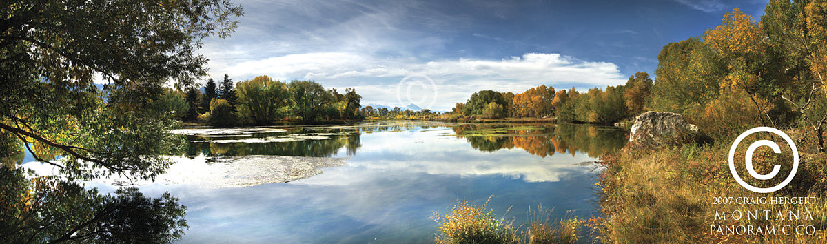 "Spring Creek" - Livingston, MT