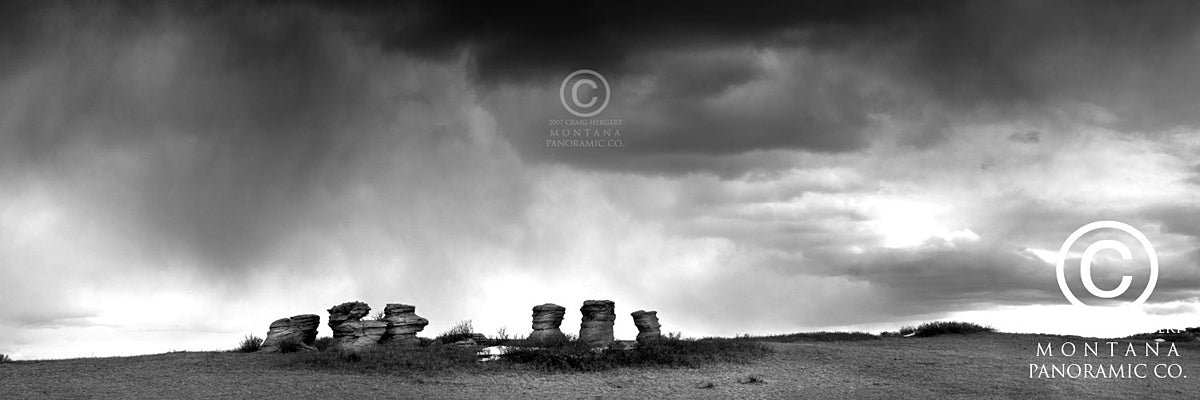 "Windswept" - Crow Reservation, MT