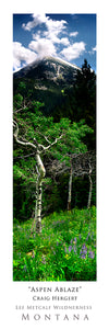"Aspen Ablaze" - Spanish Peaks, MT - POSTER