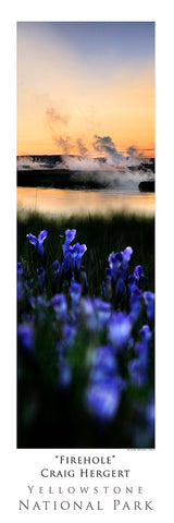 "The Firehole" - Yellowstone National Park - POSTER