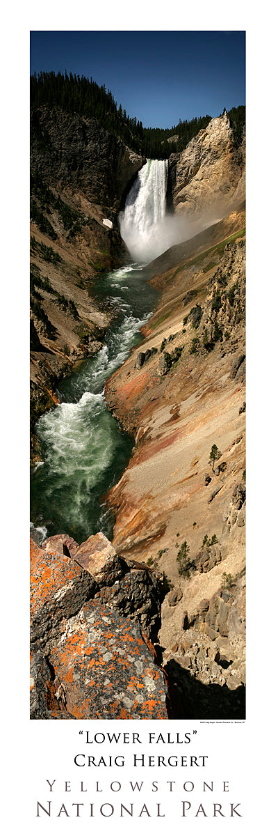 "Lower Falls" - Yellowstone National Park, WY - POSTER