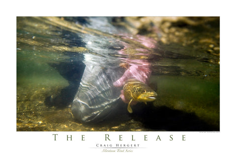 "The Release" - Montana Trout Series - POSTER