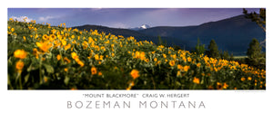"Blackmore Spring" - Bozeman, MT - POSTER